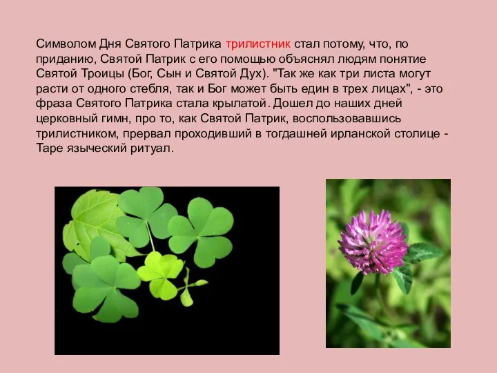 Символом Дня Святого Патрика трилистник стал потому, что, по приданию, Святой Патрик с