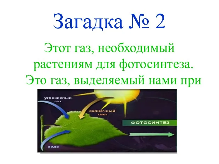 Загадка № 2 Этот газ, необходимый растениям для фотосинтеза. Это газ, выделяемый нами при выдохе.