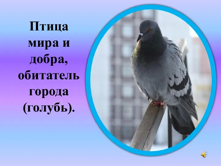 Птица мира и добра, обитатель города (голубь). ?