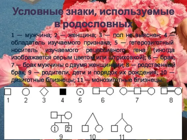 Условные знаки, используемые в родословных 1 — мужчина; 2 —