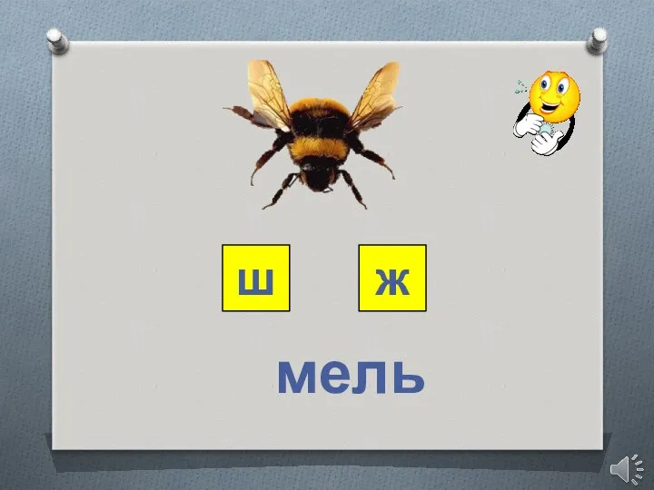 ш ж мель