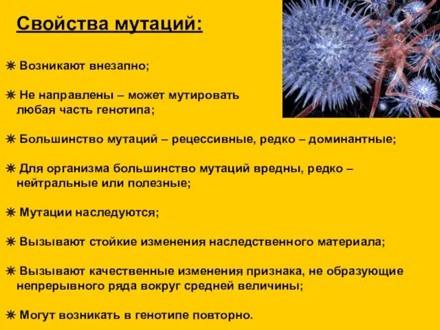 Свойства мутаций: Возникают внезапно; Не направлены – может мутировать любая