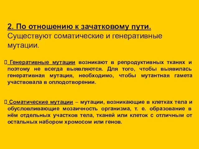 2. По отношению к зачатковому пути. Существуют соматические и генеративные