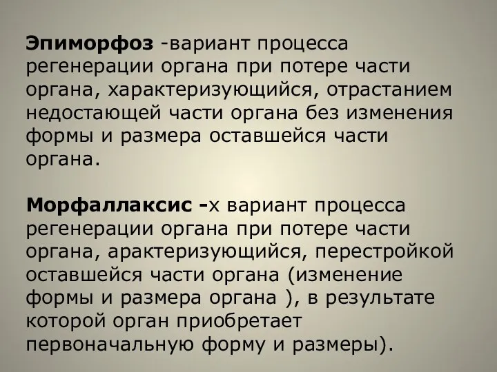 Эпиморфоз -вариант процесса регенерации органа при потере части органа, характеризующийся,