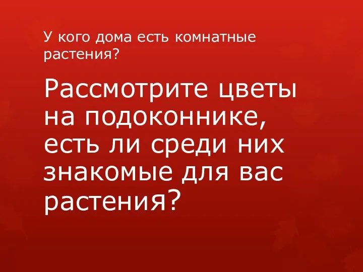 У кого дома есть комнатные растения? Рассмотрите цветы на подоконнике,