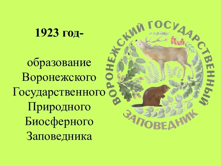1923 год- образование Воронежского Государственного Природного Биосферного Заповедника