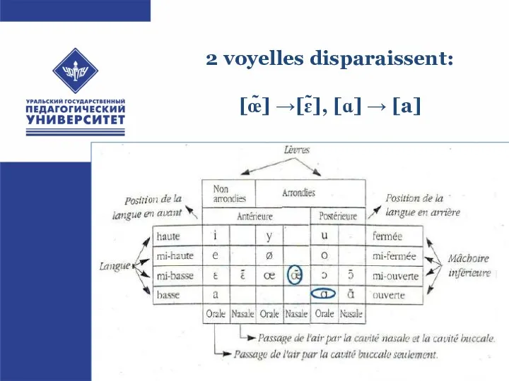 2 voyelles disparaissent: [œ̃] →[ɛ̃], [ɑ] → [a]