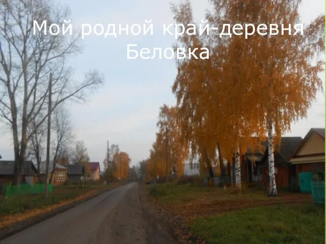 Мой родной край-деревня Беловка