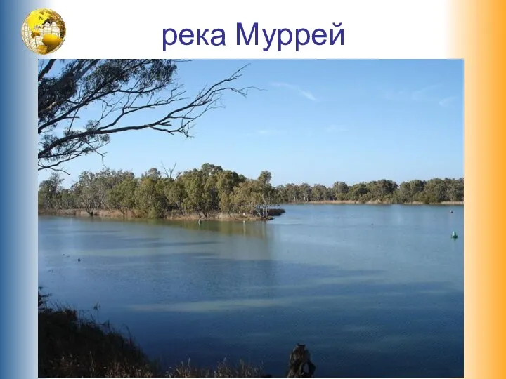 река Муррей