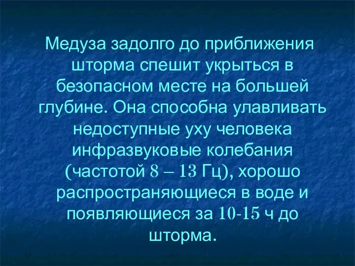 Медуза задолго до приближения шторма спешит укрыться в безопасном месте