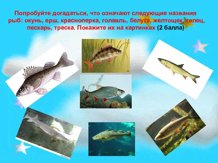 Попробуйте догадаться, что означают следующие названия рыб: окунь, ерш, красноперка,