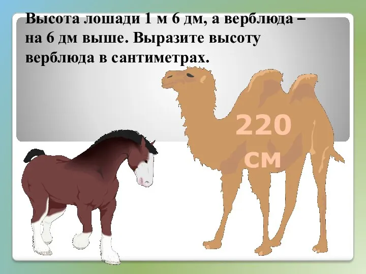Высота лошади 1 м 6 дм, а верблюда – на 6 дм выше.
