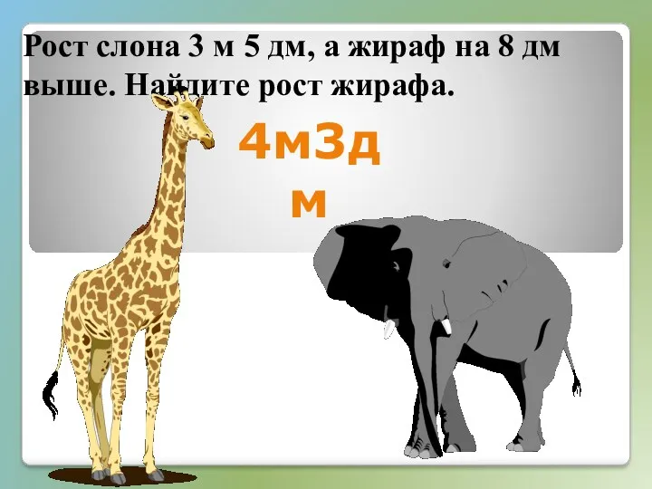 Рост слона 3 м 5 дм, а жираф на 8 дм выше. Найдите рост жирафа. 4м3дм