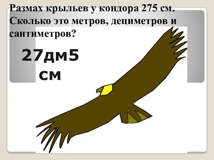 Размах крыльев у кондора 275 см. Сколько это метров, дециметров и сантиметров? 27дм5см
