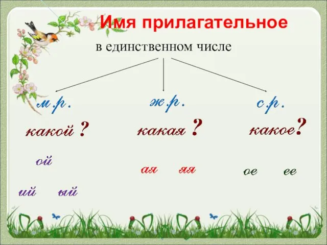 Имя прилагательное в единственном числе