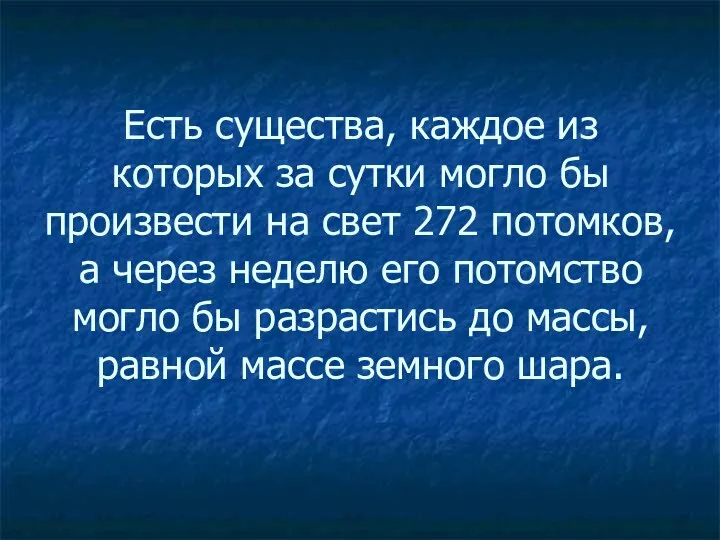 Есть существа, каждое из которых за сутки могло бы произвести