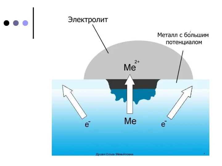 * Душак Ольга Михайловна