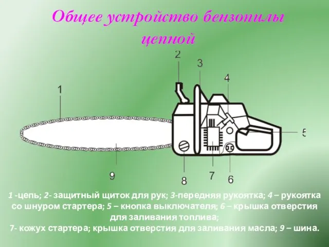 Общее устройство бензопилы цепной 1 -цепь; 2- защитный щиток для