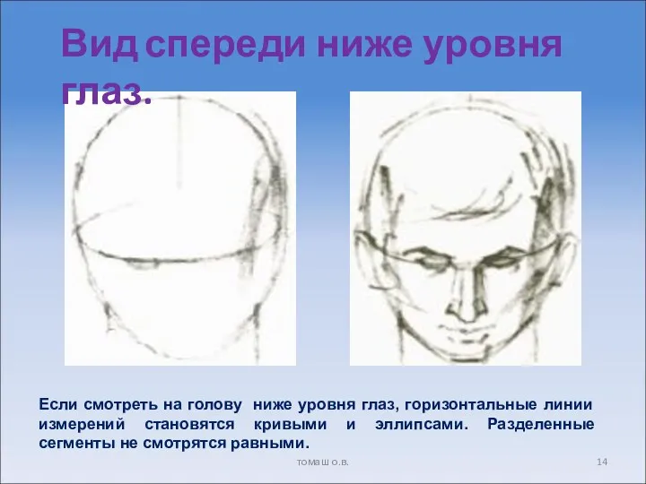 Вид спереди ниже уровня глаз. Если смотреть на голову ниже уровня глаз, горизонтальные
