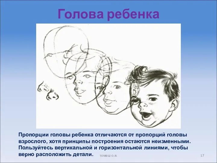 Голова ребенка Пропорции головы ребенка отличаются от пропорций головы взрослого, хотя принципы построения
