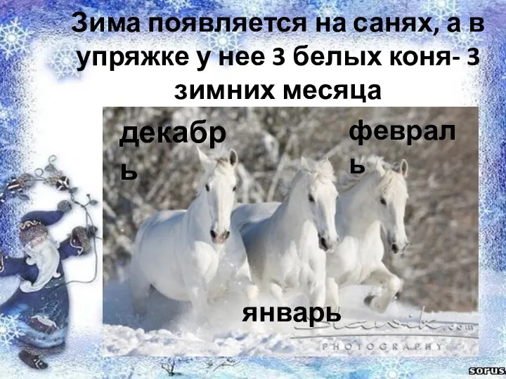 Зима появляется на санях, а в упряжке у нее 3 белых коня- 3
