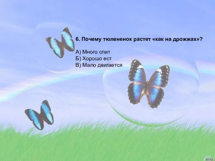 6. Почему тюлененок растет «как на дрожжах»? А) Много спит Б) Хорошо ест В) Мало двигается