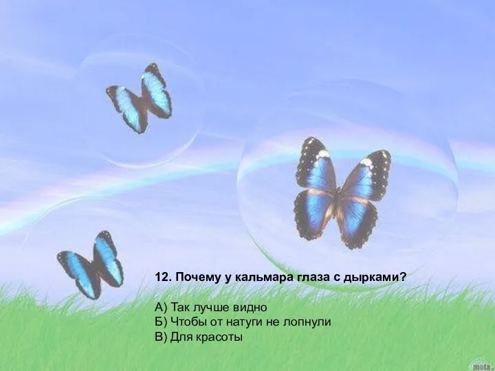 12. Почему у кальмара глаза с дырками? А) Так лучше