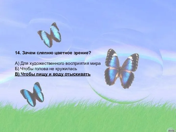 14. Зачем слепню цветное зрение? А) Для художественного восприятия мира