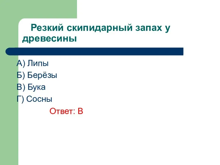 Резкий скипидарный запах у древесины A) Липы Б) Берёзы В) Бука Г) Сосны Ответ: В