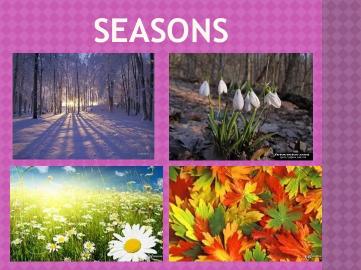 seasons