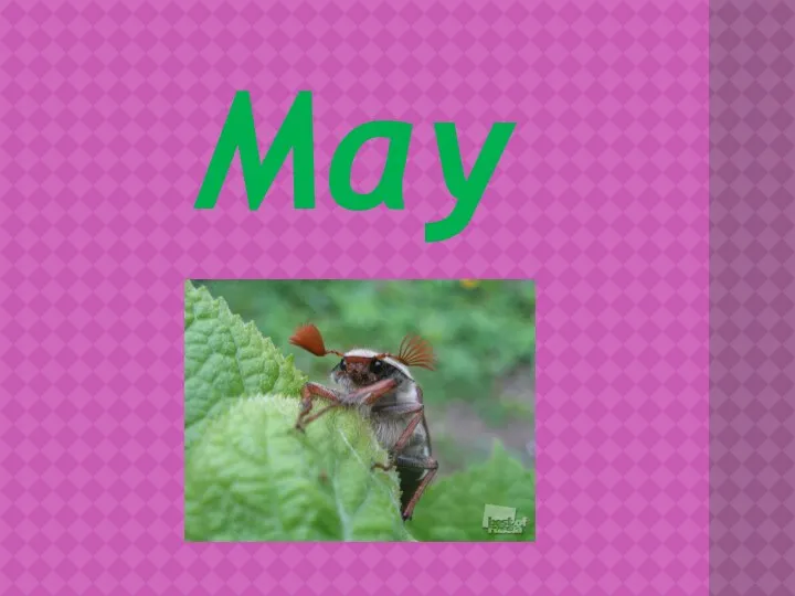 May