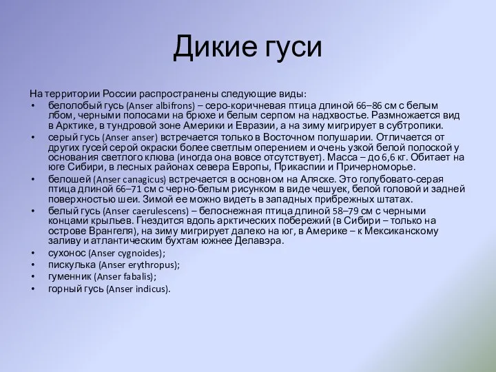 Дикие гуси На территории России распространены следующие виды: белолобый гусь (Anser albifrons) –