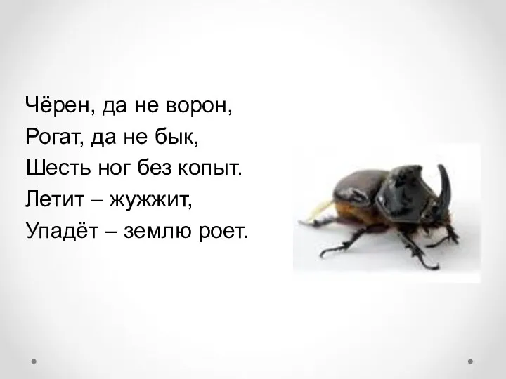 Чёрен, да не ворон, Рогат, да не бык, Шесть ног