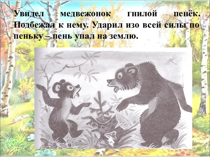 Увидел медвежонок гнилой пенёк. Подбежал к нему. Ударил изо всей