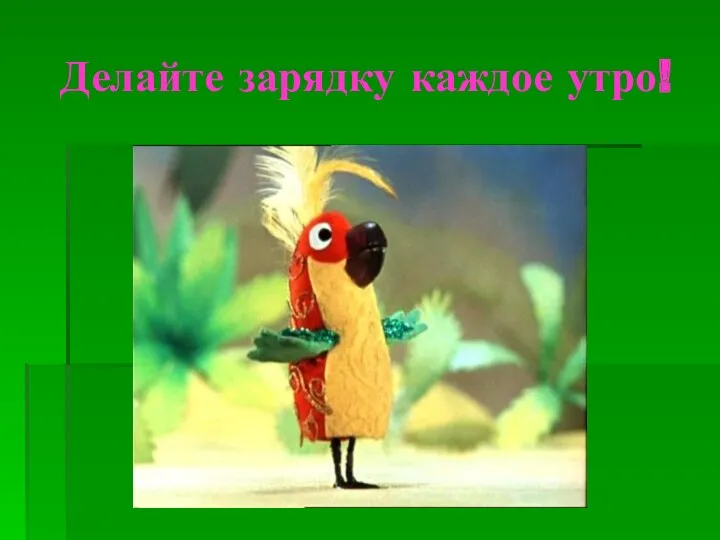 Делайте зарядку каждое утро!