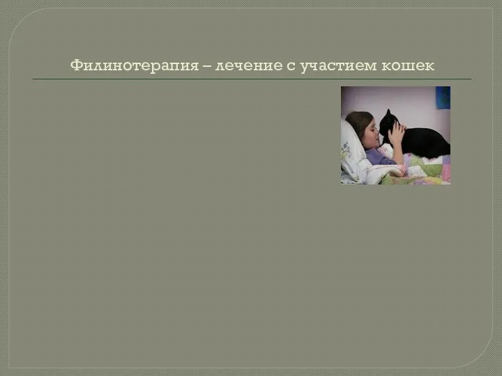 Филинотерапия – лечение с участием кошек