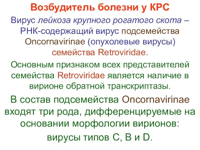 Возбудитель болезни у КРС Вирус лейкоза крупного рогатого скота –