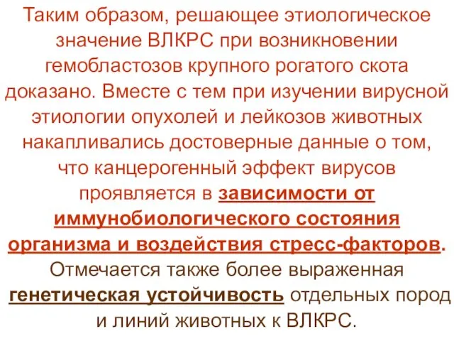 Таким образом, решающее этиологическое значение ВЛКРС при возникновении гемобластозов крупного