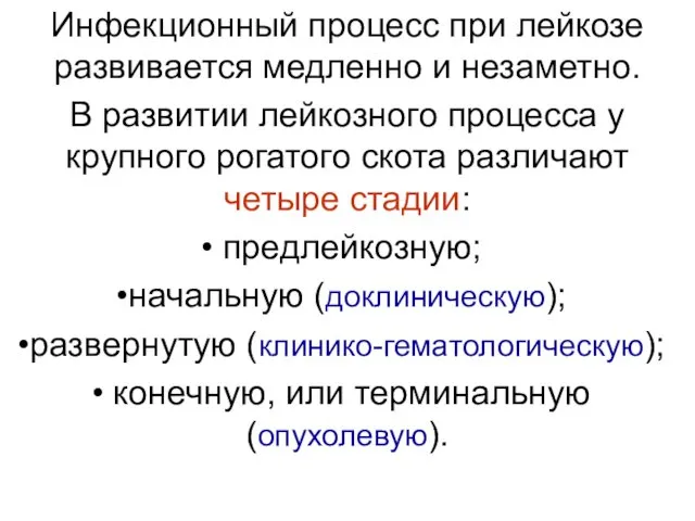 Инфекционный процесс при лейкозе развивается медленно и незаметно. В развитии