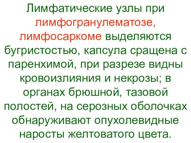 Лимфатические узлы при лимфогранулематозе, лимфосаркоме выделяются бугристостью, капсула сращена с