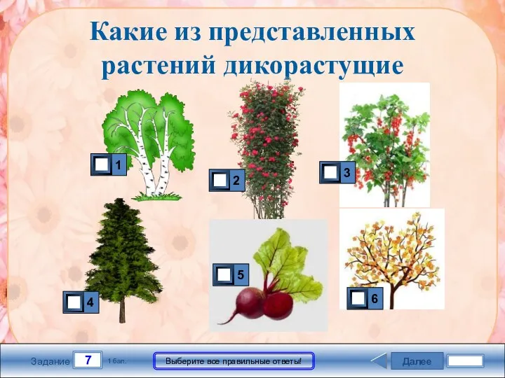 Далее 7 Задание 1 бал. Выберите все правильные ответы! Какие из представленных растений дикорастущие