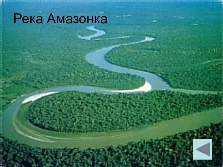 Река Амазонка