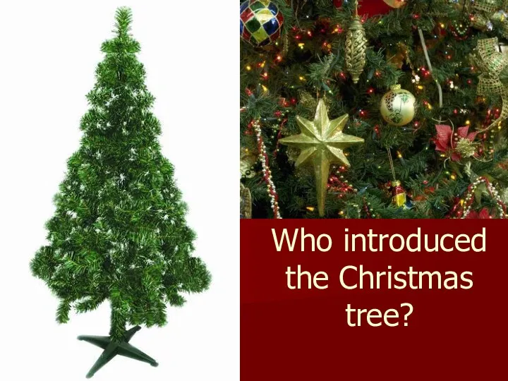 Who introduced the Christmas tree?