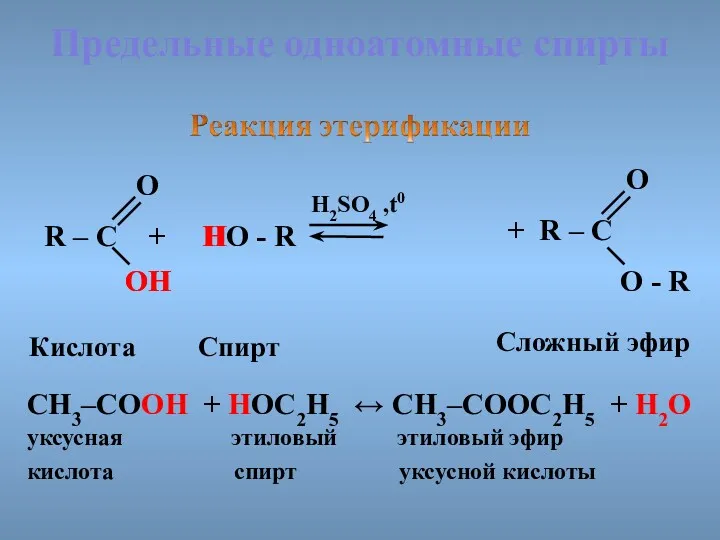 Предельные одноатомные cпирты R – C + HO - R