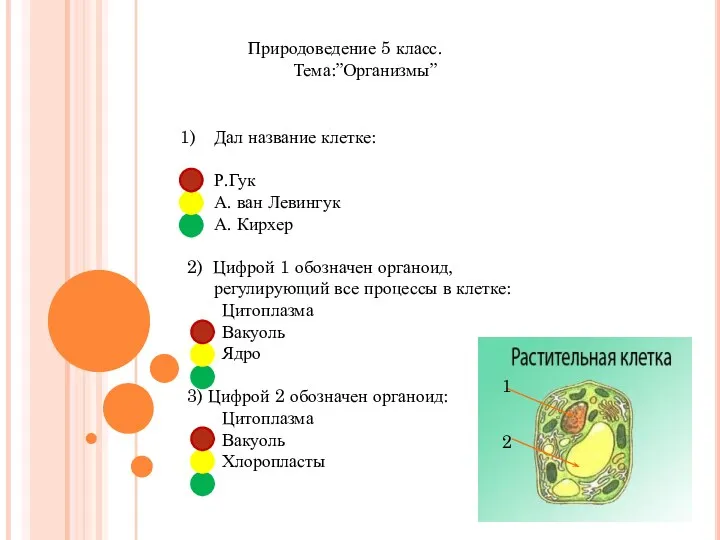 Природоведение 5 класс. Тема:”Организмы” Дал название клетке: Р.Гук А. ван