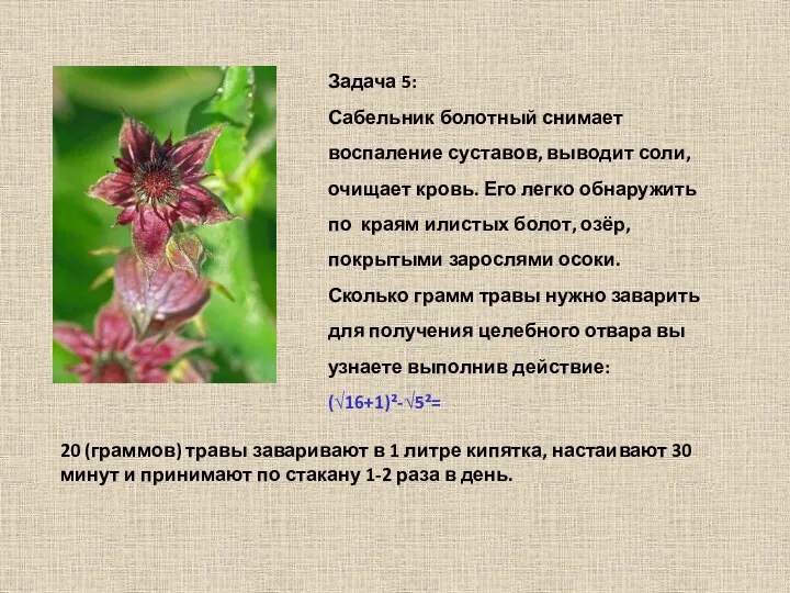 Задача 5: Сабельник болотный снимает воспаление суставов, выводит соли, очищает кровь. Его легко