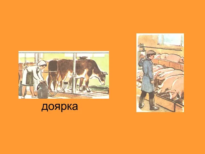 доярка