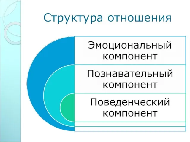 Структура отношения