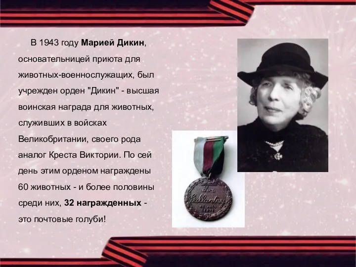 В 1943 году Марией Дикин, основательницей приюта для животных-военнослужащих, был