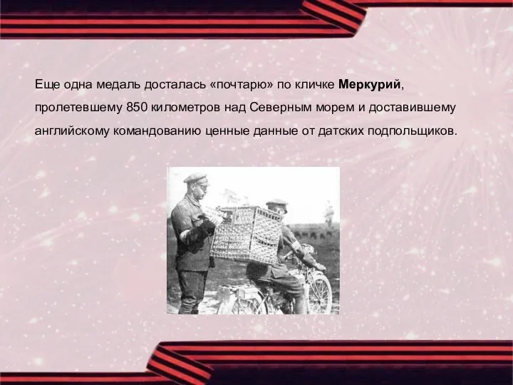 Еще одна медаль досталась «почтарю» по кличке Меркурий, пролетевшему 850